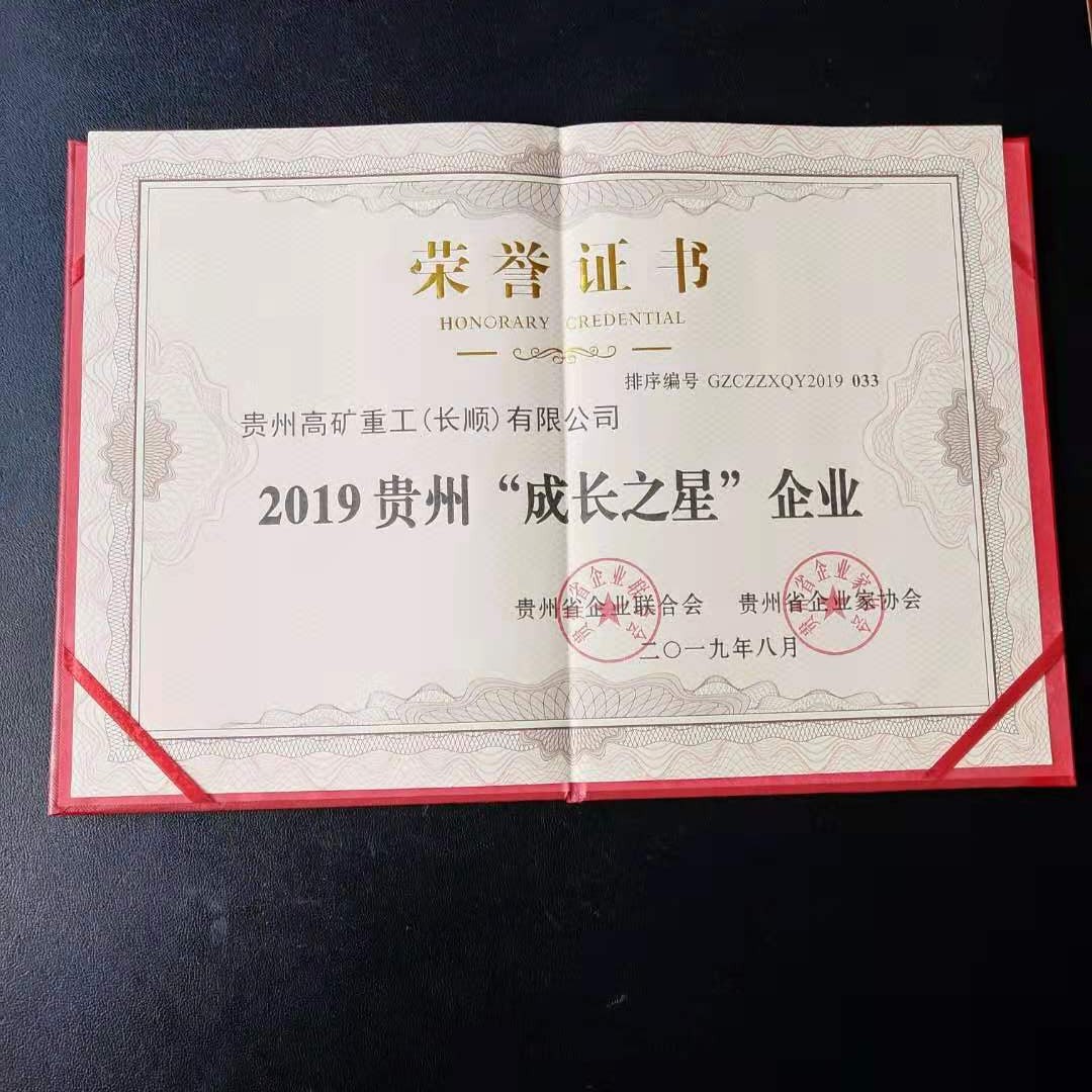 365在线平台(中国)有限公司官网荣获2019贵州“成长之星”企业称号